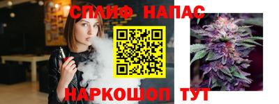 гидра Будённовск