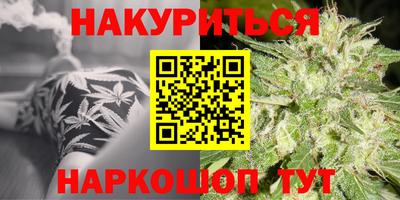 гидра Будённовск