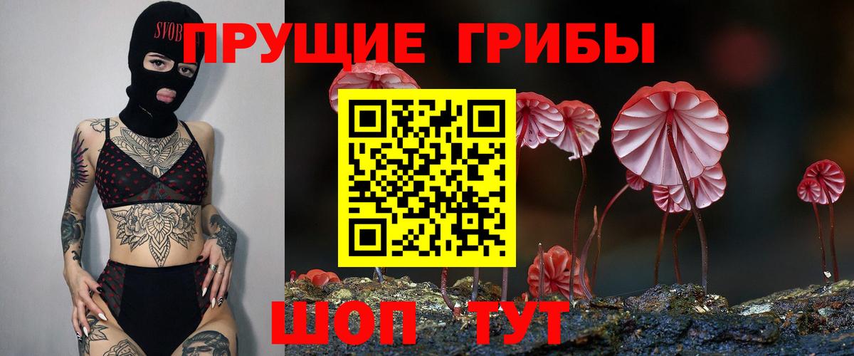 Псилоцибиновые грибы мицелий Печора